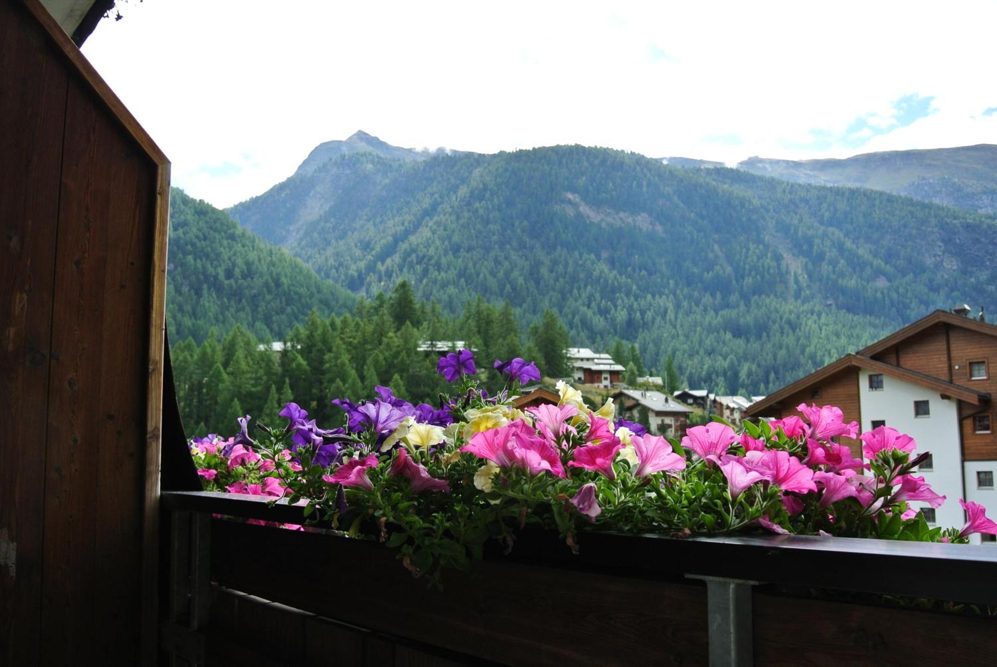 Apartment Aura Zermatt Pokoj fotografie